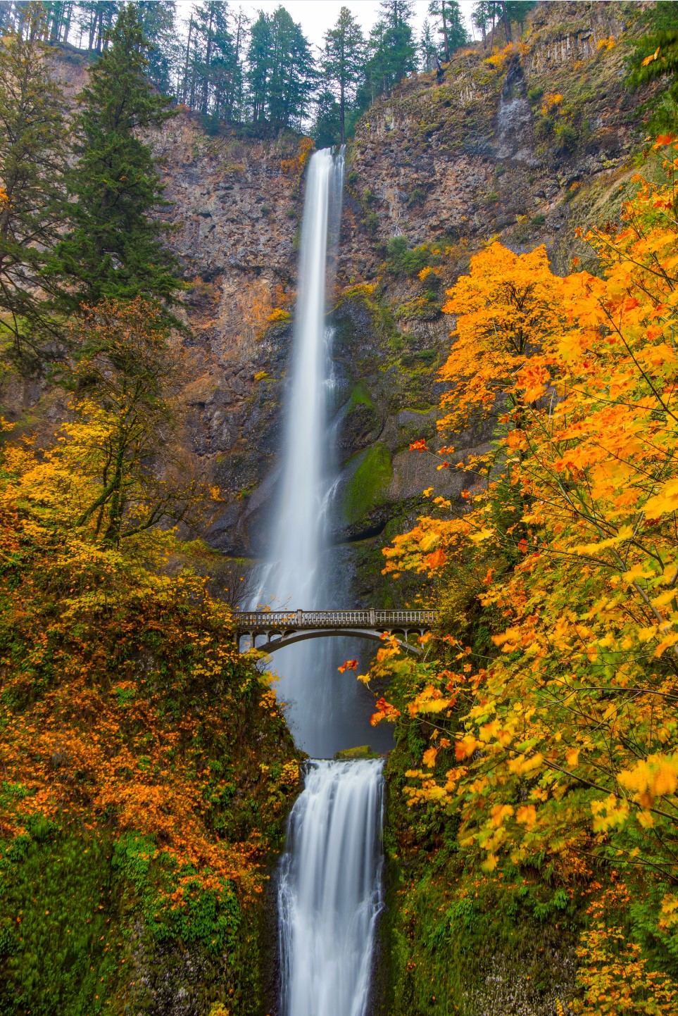 Fall Multnomah Falls